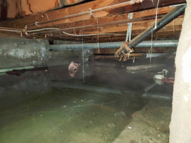 Best Water damage cleanup near me  in South Burlington, VT