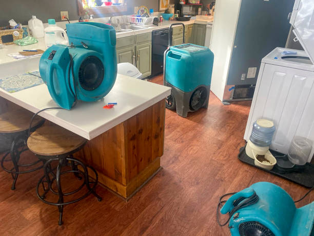 Best Sewage cleanup and water damage restoration  in South Burlington, VT