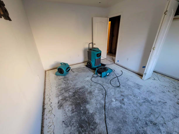 Best Flood restoration services  in South Burlington, VT