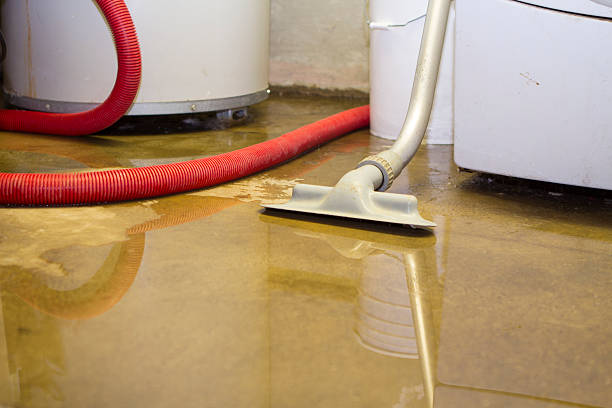 Best 24-hour water damage restoration  in South Burlington, VT